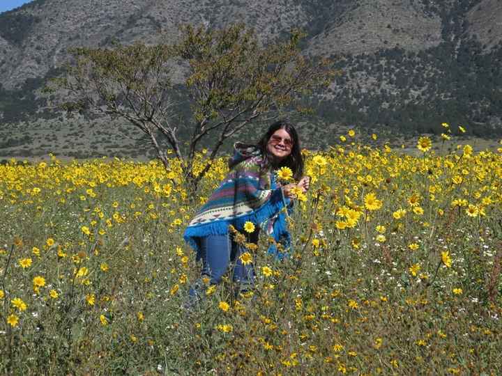 Yo y los girasoles