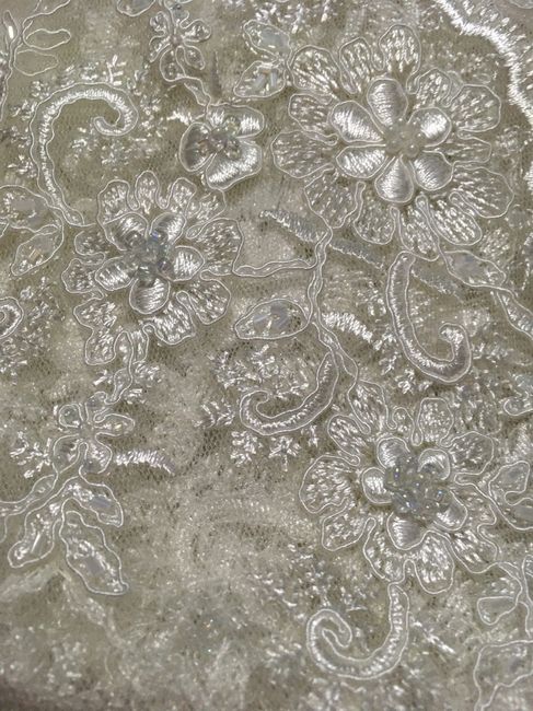 Muéstrenme su Velo 7