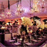 boda carpa 1