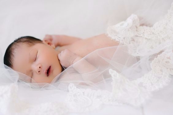 Newborn veil(hermosa)