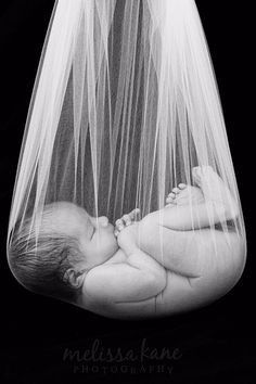 Newborn veil