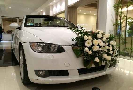 Nuestro Auto 2