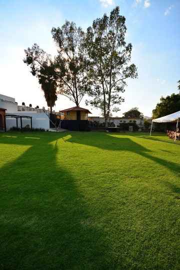 el jardín
