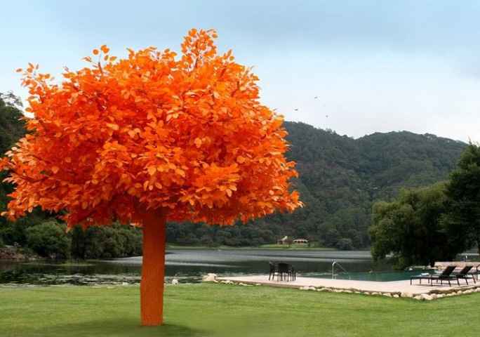 Sierra Lago