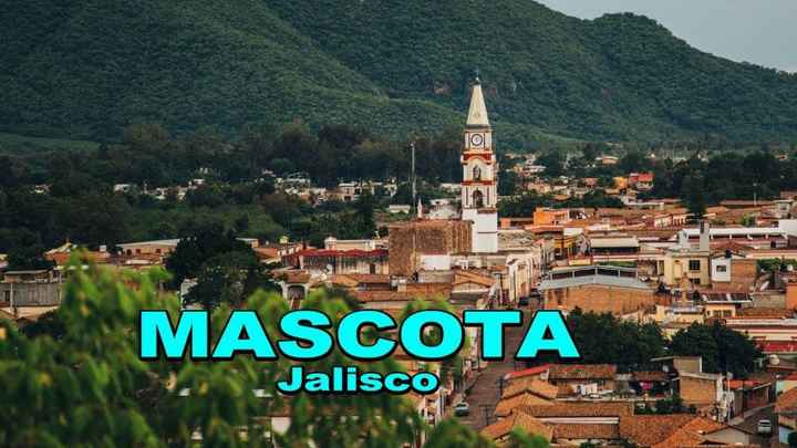 Mascota