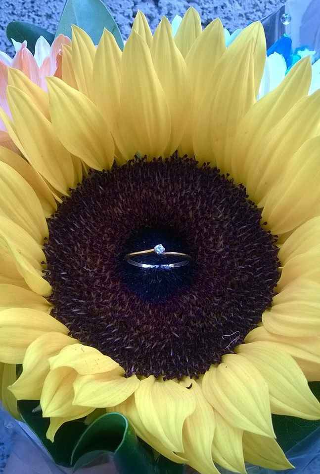 00000