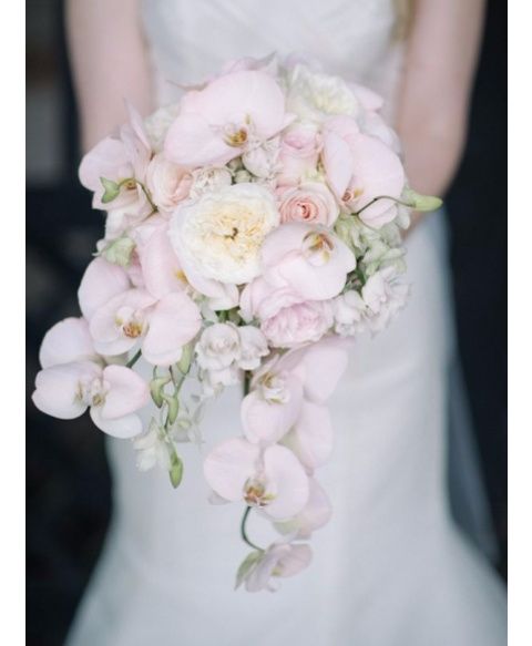 Yo quisiera ver sus ramos?? - 1