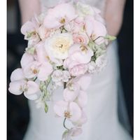 Yo quisiera ver sus ramos?? - 1