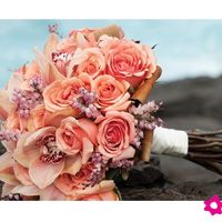 Este sera el color de mi boda