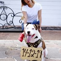 Mi sesión de fotos pre boda a 28 días de mi gran dia - 6