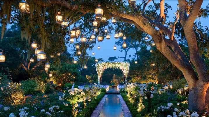 jardin