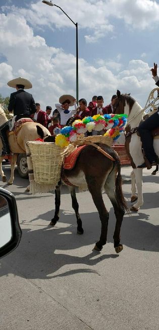 Mi boda Charra😍♥ - 7