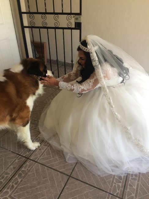 15/12/18 el mejor día de mi vida ya estamos casados - 11