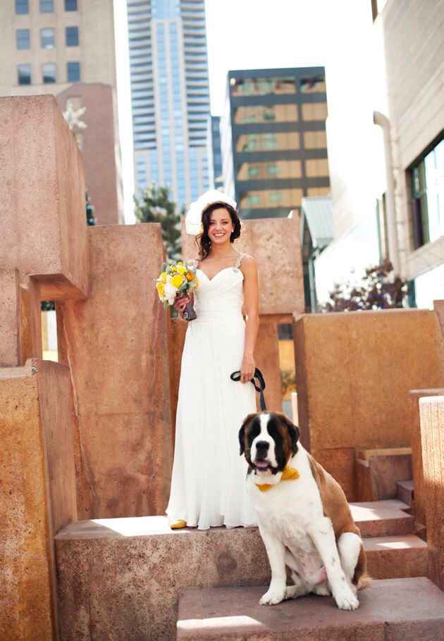 Save the date con mascotas, una manera incluirlos en la organización del día B! - 2