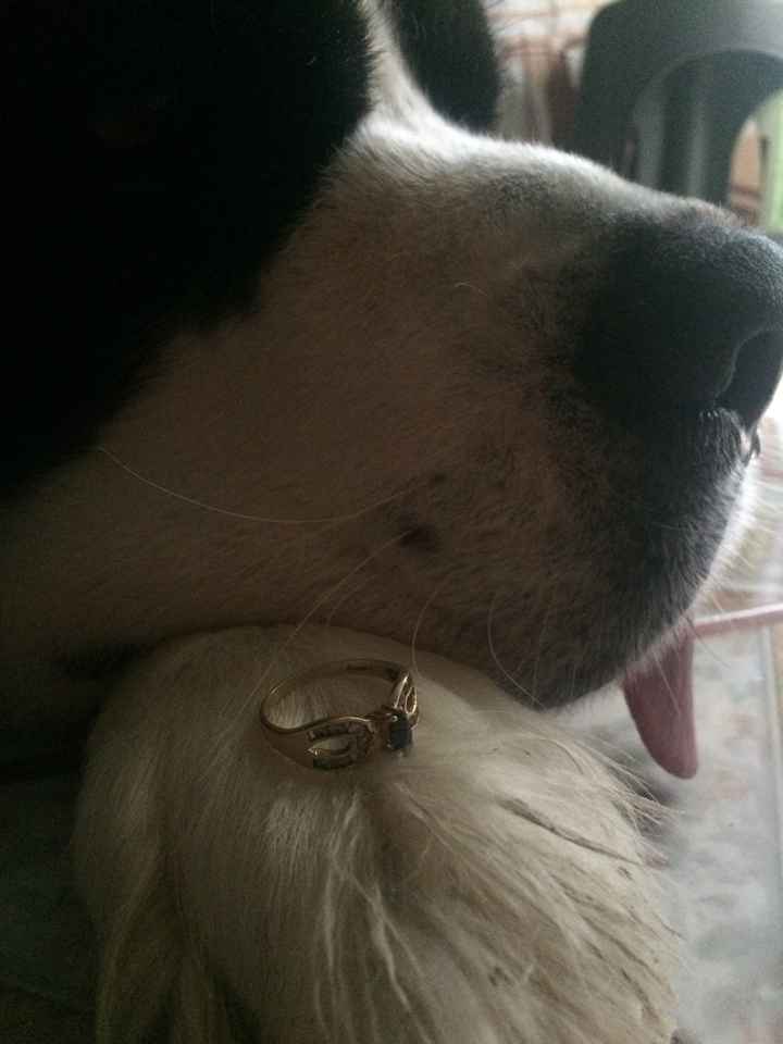 Ya me quedo mi anillo💍 - 1