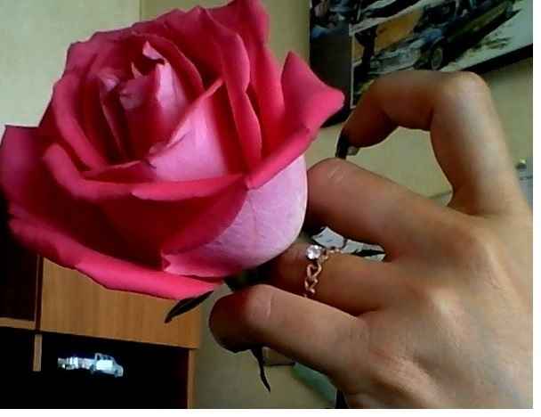 Anillo de compromiso!!!