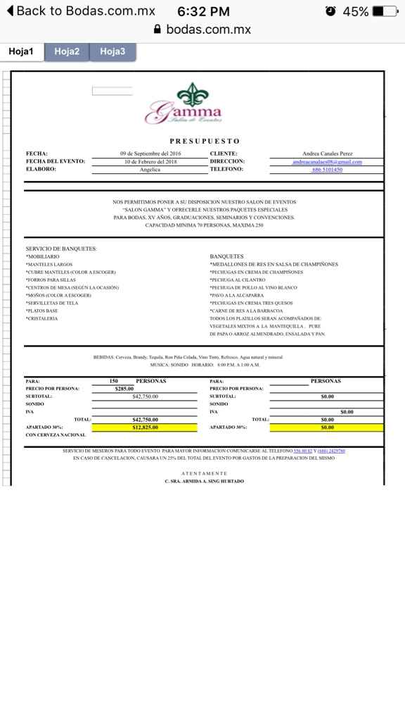 ¿qué les parece este presupuesto? - 4