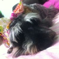 La foto de tu mascota! - 1