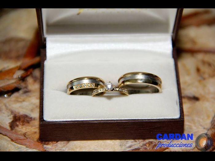 los anillos