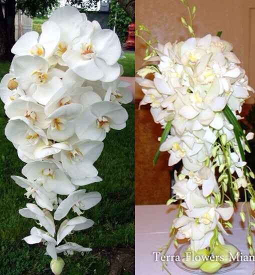 Ramooo! sube tu foto - 1