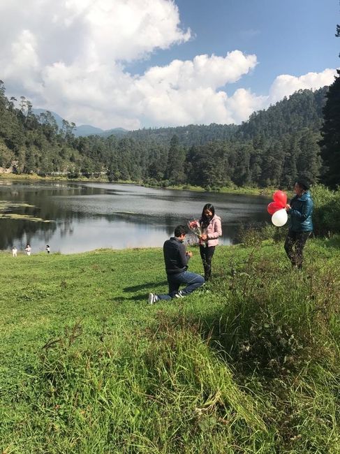 3. Mi amiga se acerco y me dio unas flores. 