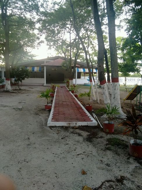 Preocupadisima!!!el clima podría arruinar mi boda!!! - 2