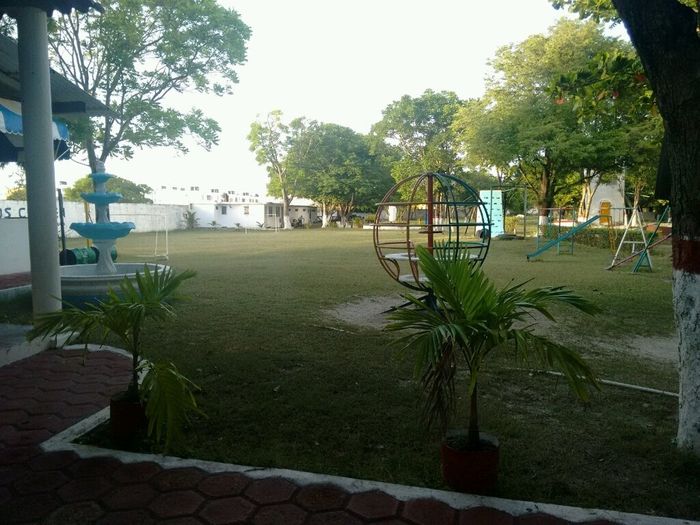 Preocupadisima!!!el clima podría arruinar mi boda!!! - 6