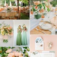 Color durazno y verde - 2