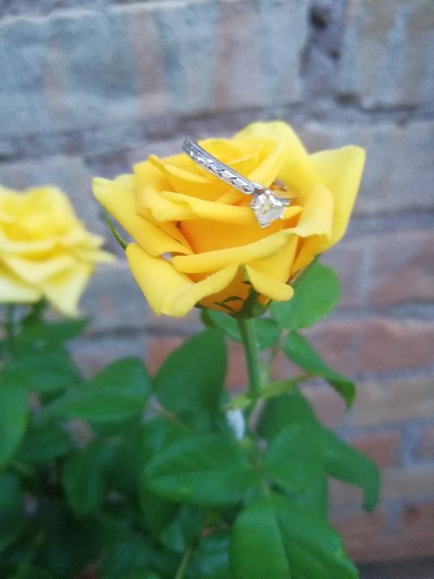 Si hubieras podido elegir el anillo de compromiso.. 7