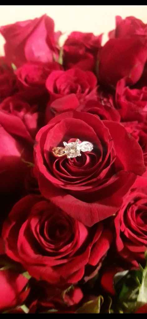 Muestra el anillo - 1