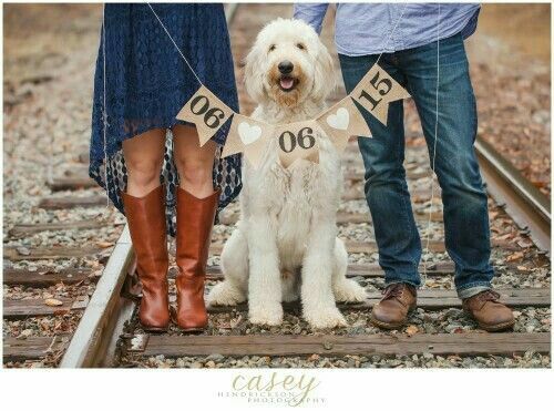 Save the date con perros - 10