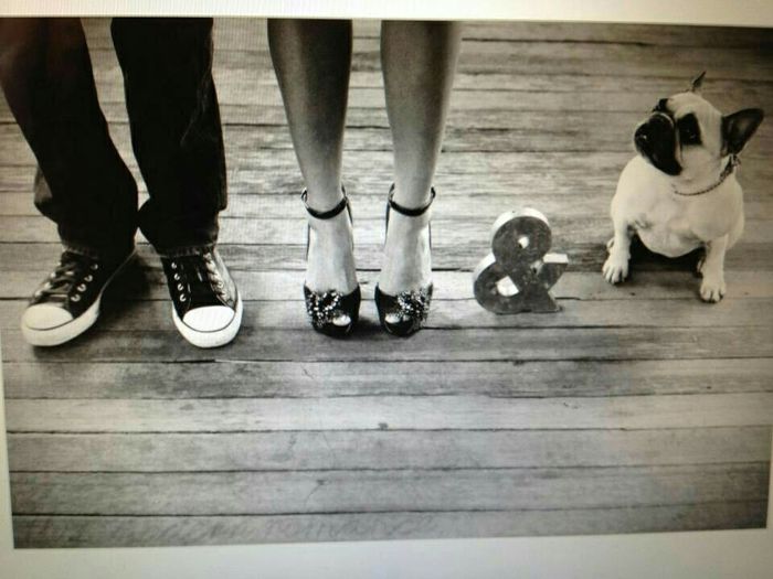 Save the date con perros - 16