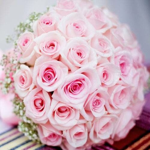 Ramos preservados!! - 1