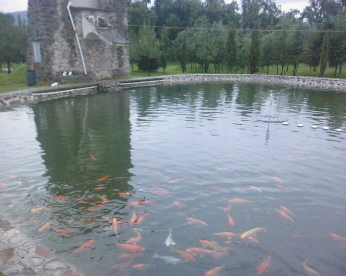 ¡me estoy volviendo loca! - 10