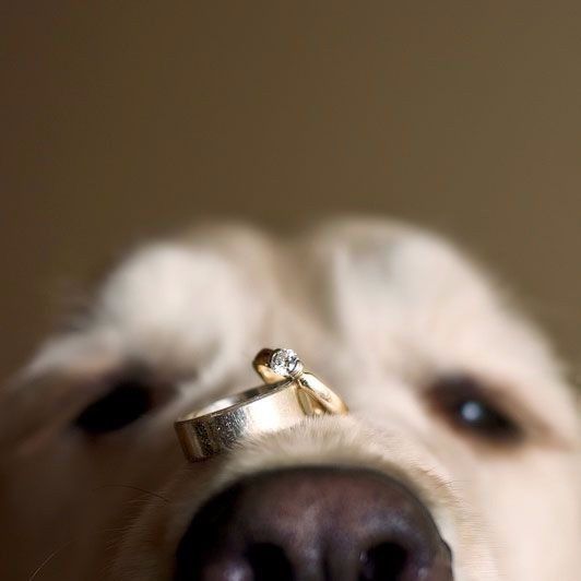 foto boda