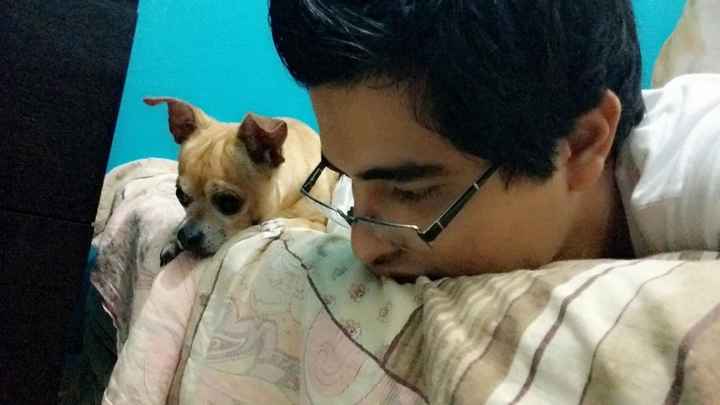 Con pixel, mi perro y nuestro bebé 