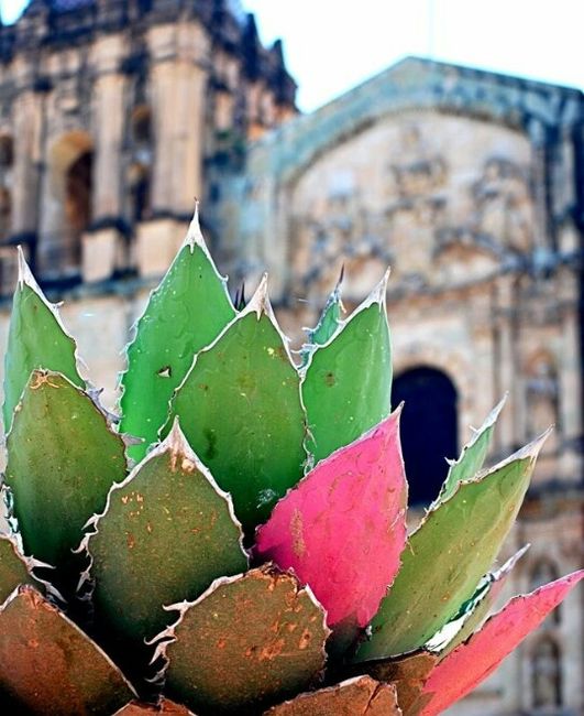 Novios que se casan el 25 de julio 2015 - 1