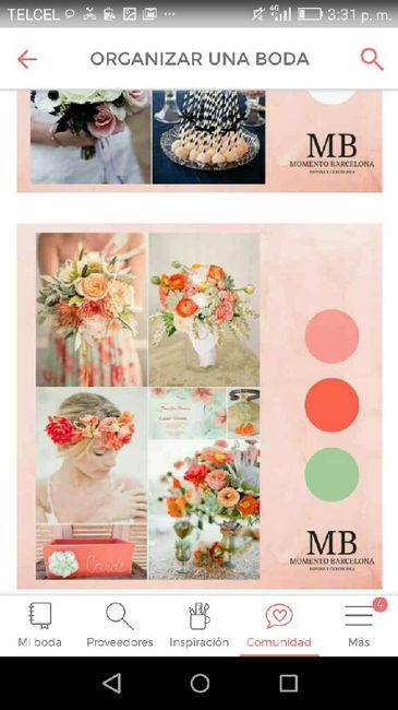 Que color elegir??? - 1