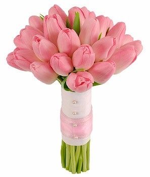 Tulipanes