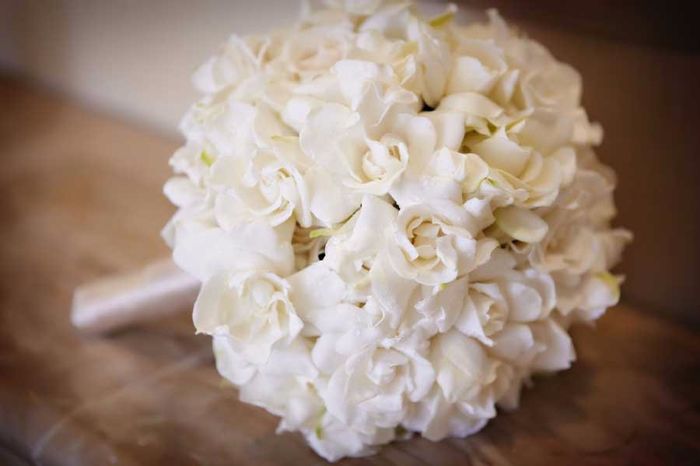 Gardenia
