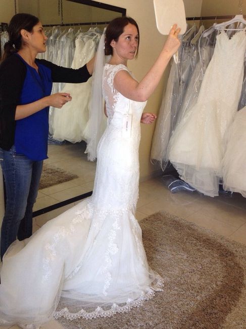 En la busqueda del mero mero! - 1