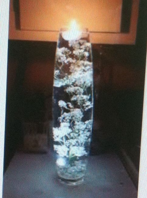 Tipos de flores económicas?? - 2