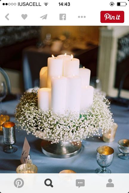 Tipos de flores económicas?? - 1