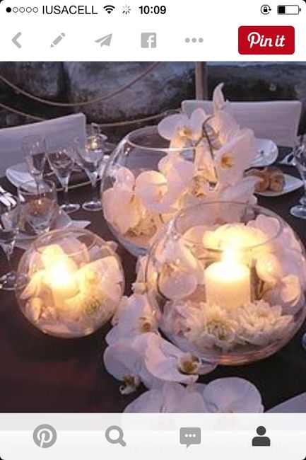 Tipos de flores económicas?? - 2