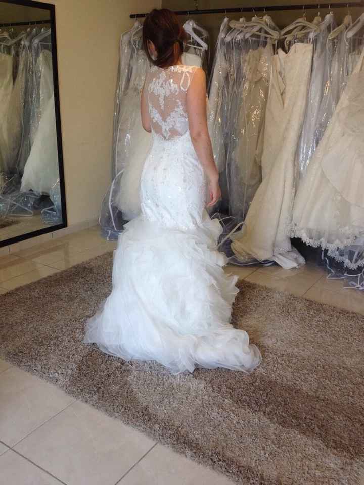 En la busqueda del mero mero! - 1