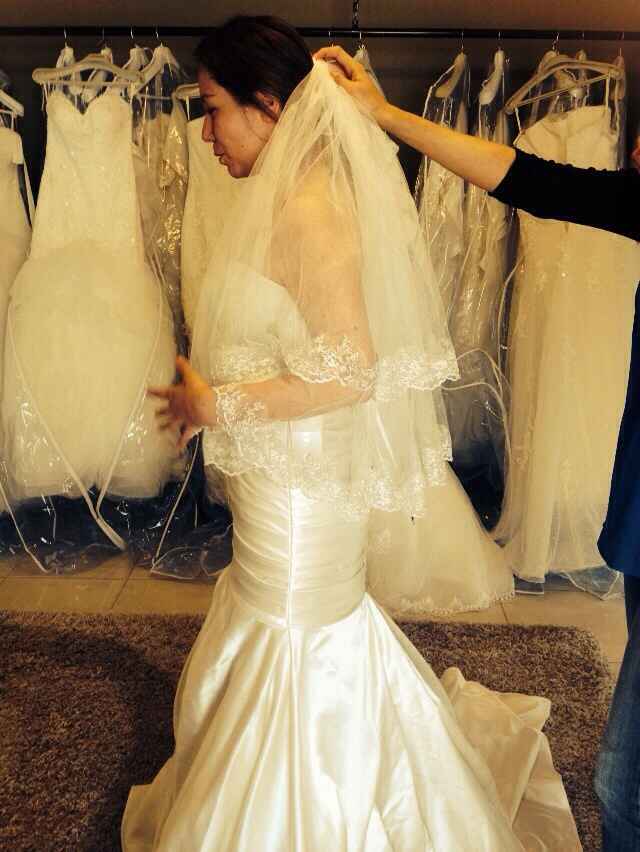 En la busqueda del mero mero! - 2