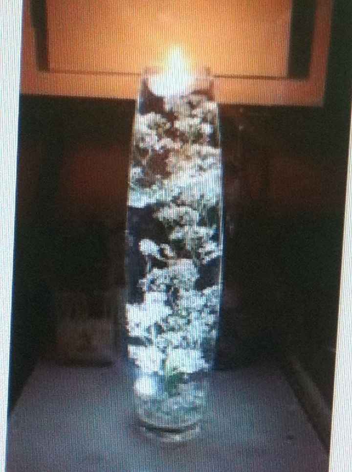 Tipos de flores económicas?? - 2