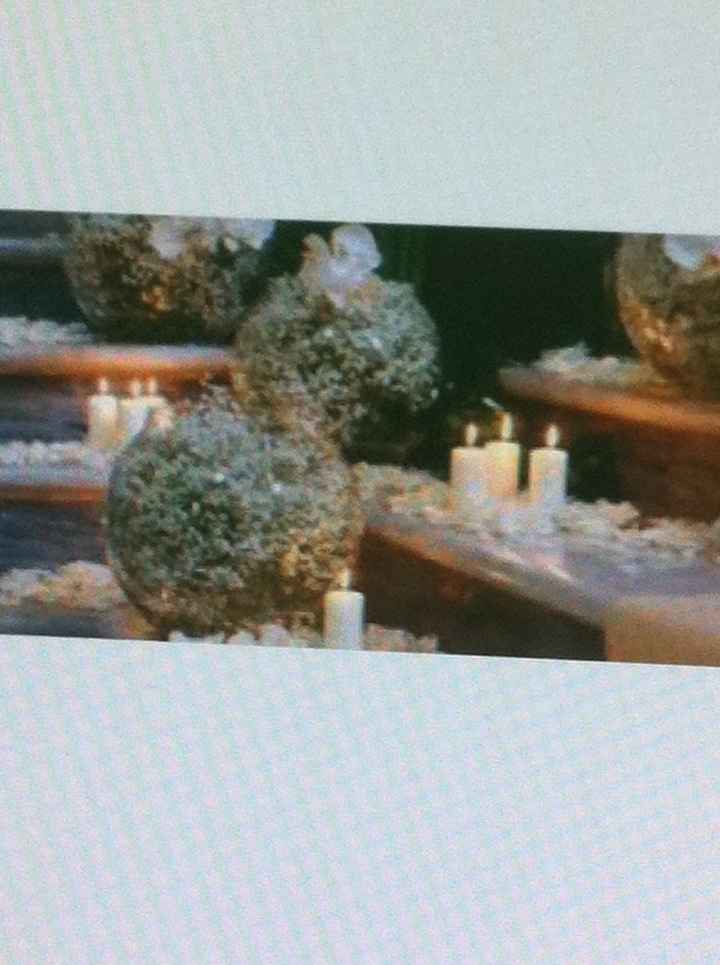 Tipos de flores económicas?? - 2