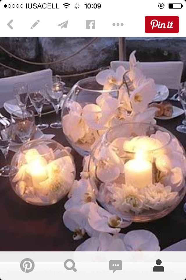 Tipos de flores económicas?? - 2