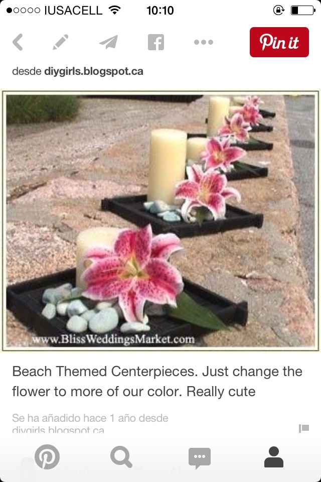 Tipos de flores económicas?? - 4